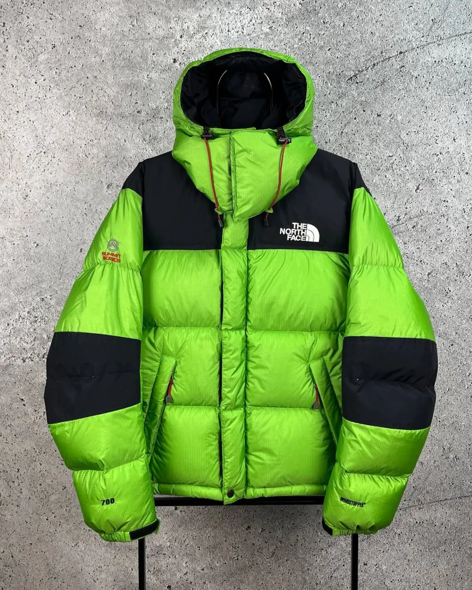 Пуховик TNF 700